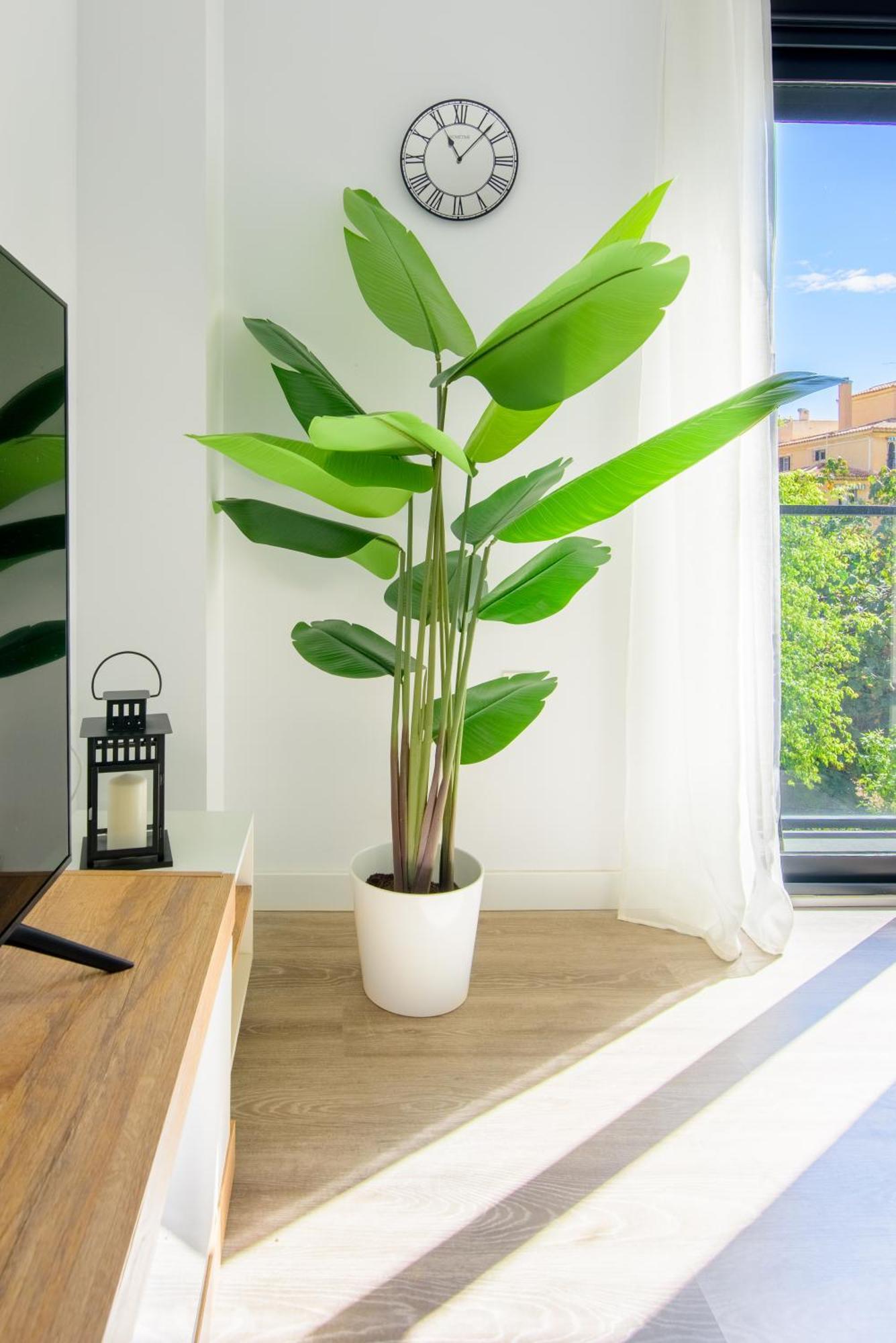 Wintowinrentals Twin Charm Centro, Encanto Y Confort Junto Al Casco Antiguo Apartment